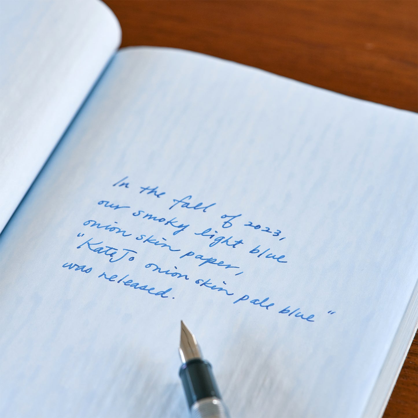 Dressco オニオンスキンノートブック ラージ ペールブルー