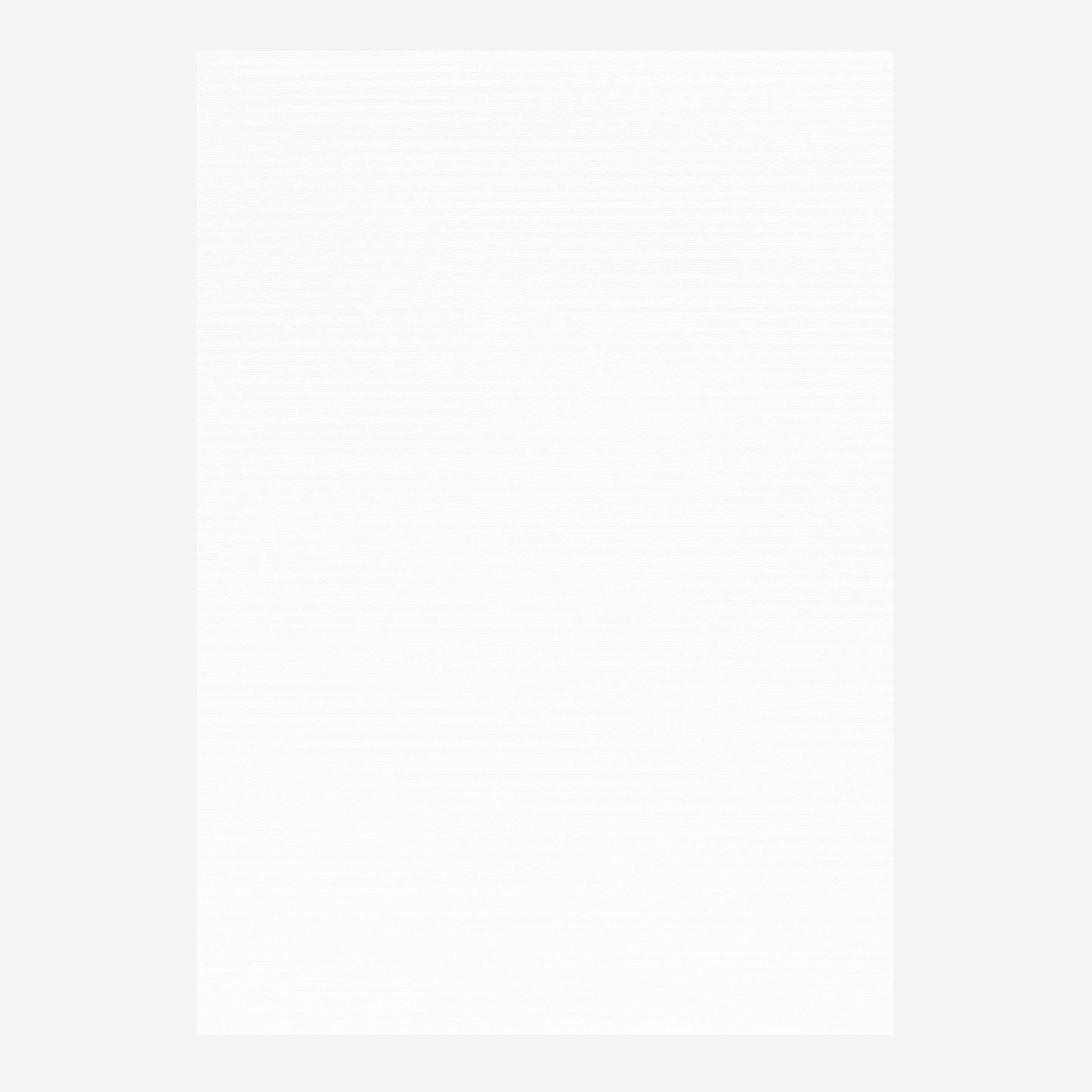 PAPER PALETTE A4中紙 サーブル スノーホワイト