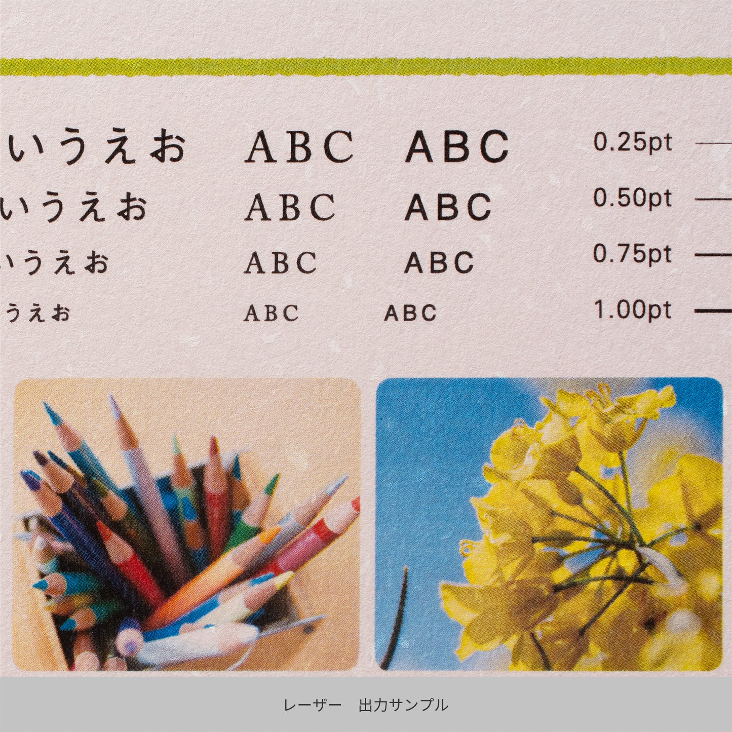 彩現 レター用紙 フェザーワルツ さくら A4 20枚