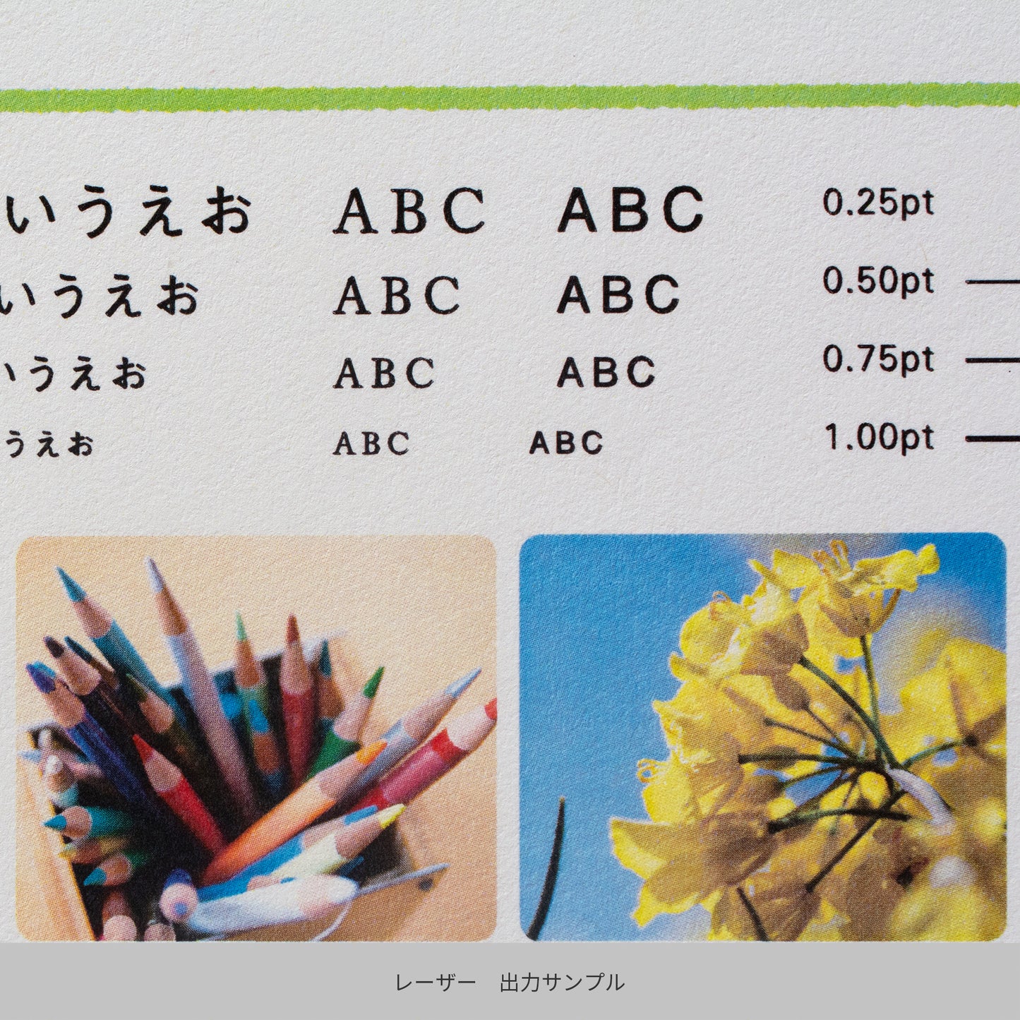 彩現 レター用紙 ギルバートCWボンド A4 20枚
