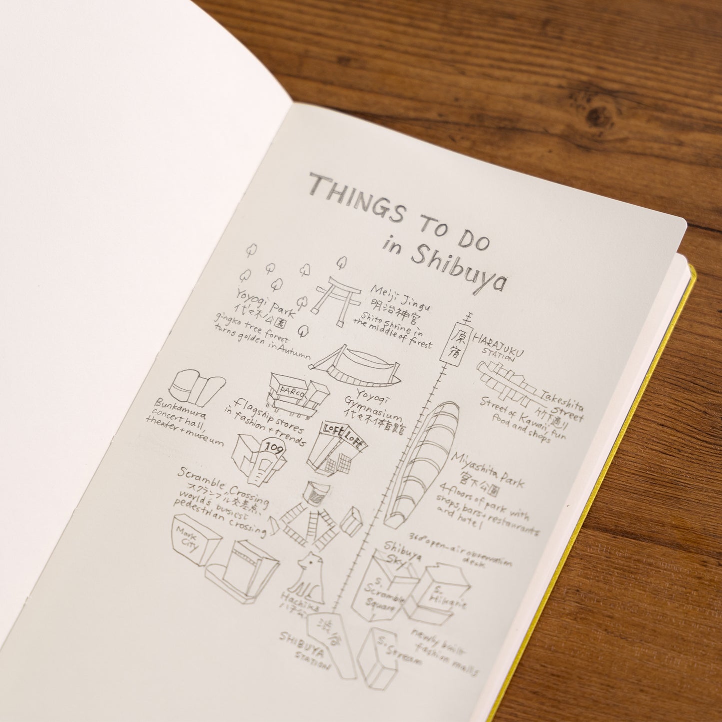 Dressco ペーパーノートブックL ライムゴールド