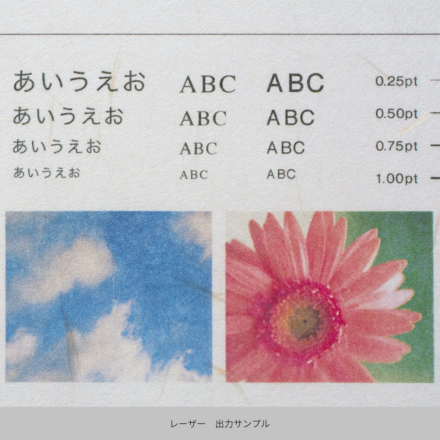 心づく紙 新オボナイ 茶の花 A4 10枚