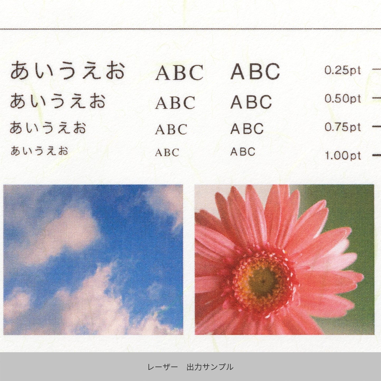 心づく紙 新オボナイ 草の花 A4 10枚