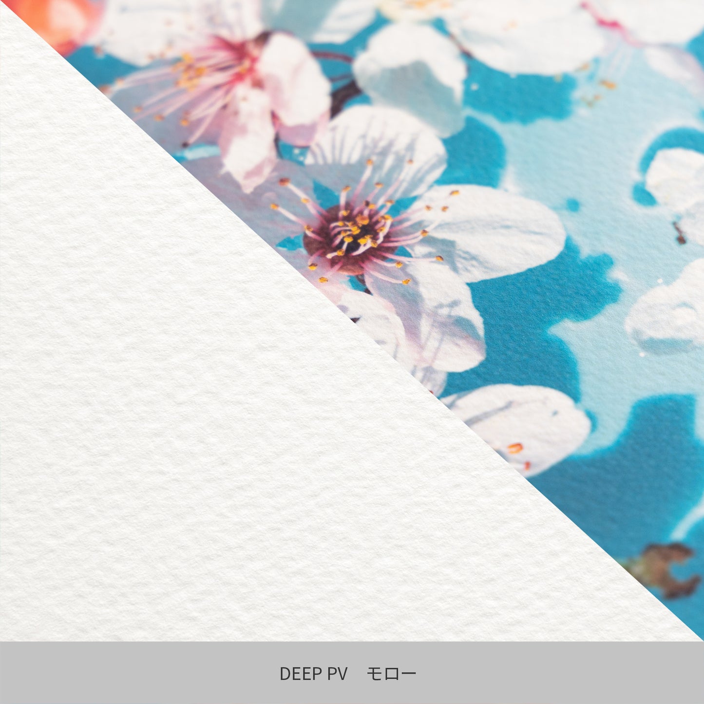 DEEP PV A4 トライアルキット 6種入