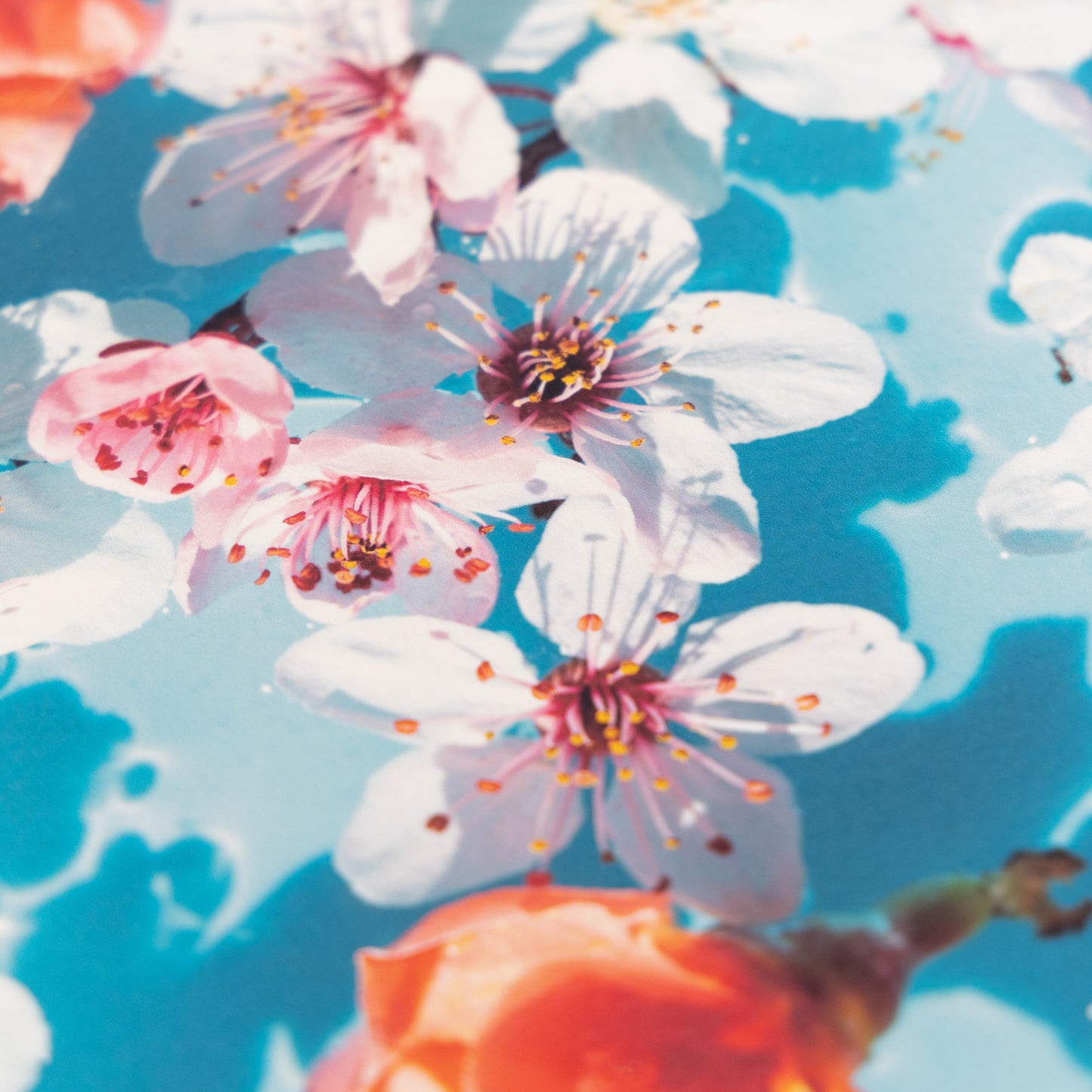 DEEP PV A4 かきた 5枚