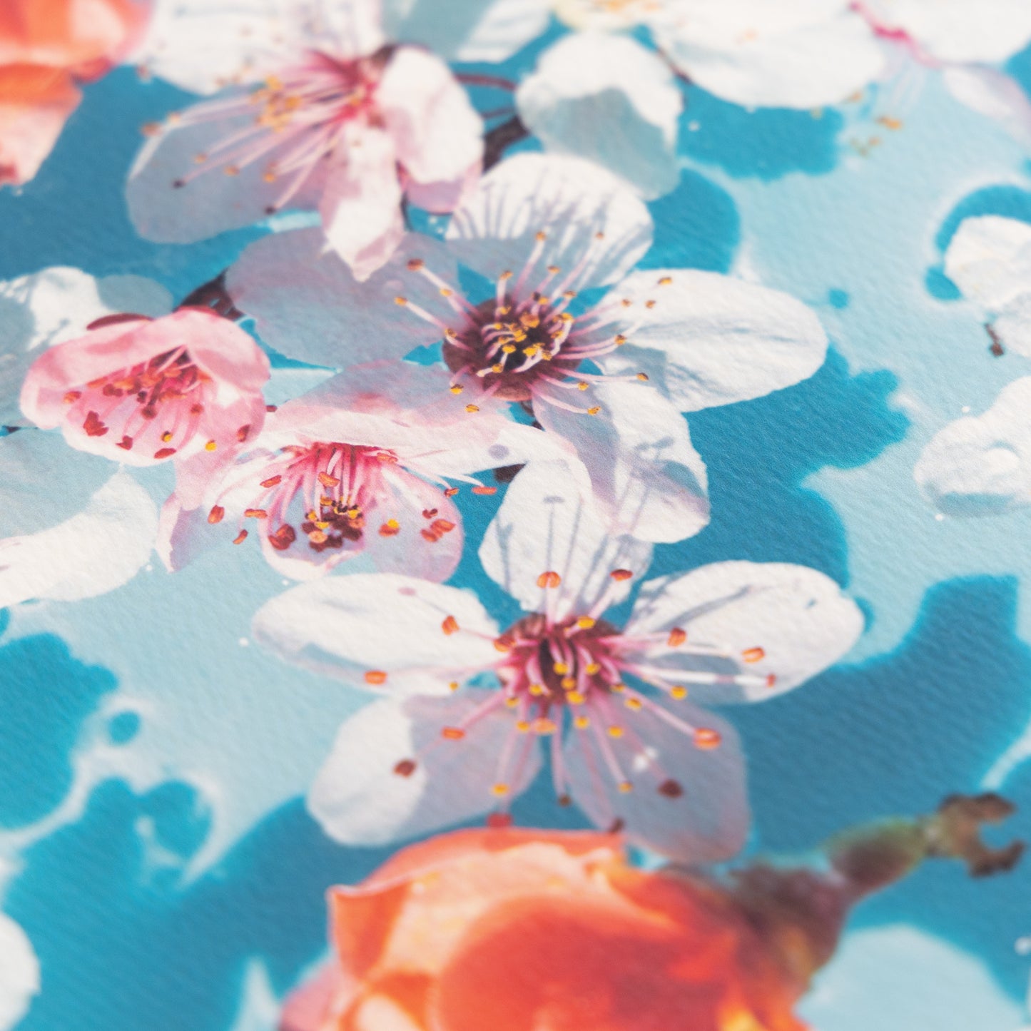 DEEP PV A3ノビ マーメイド スノーホワイト 20枚