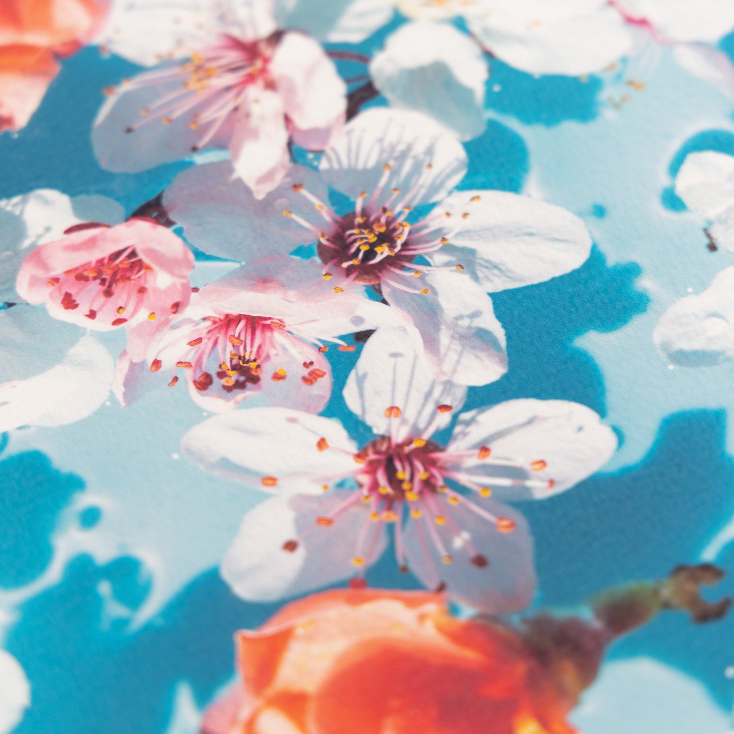 DEEP PV A3ノビ モデラトーン アイス 20枚