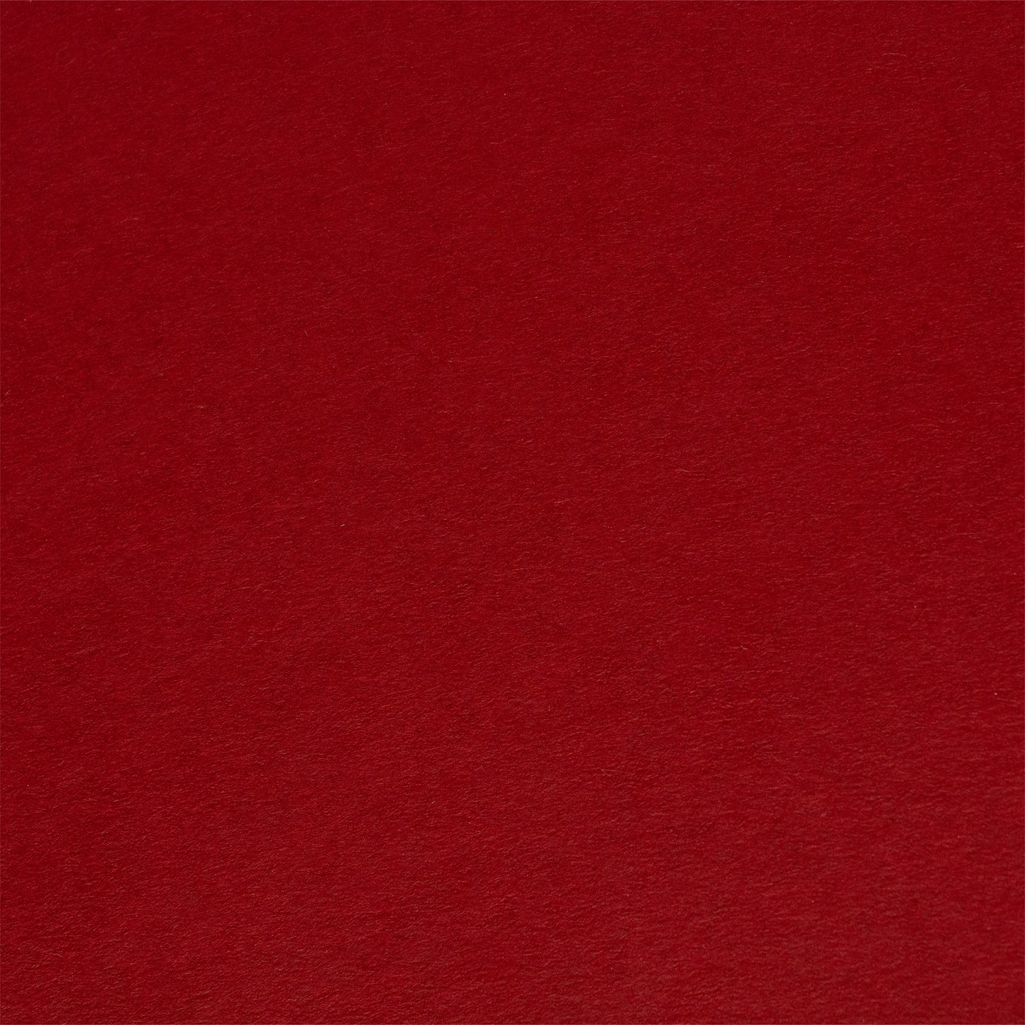PAPER PALETTE A5カード ビオトープ ベリーレッド