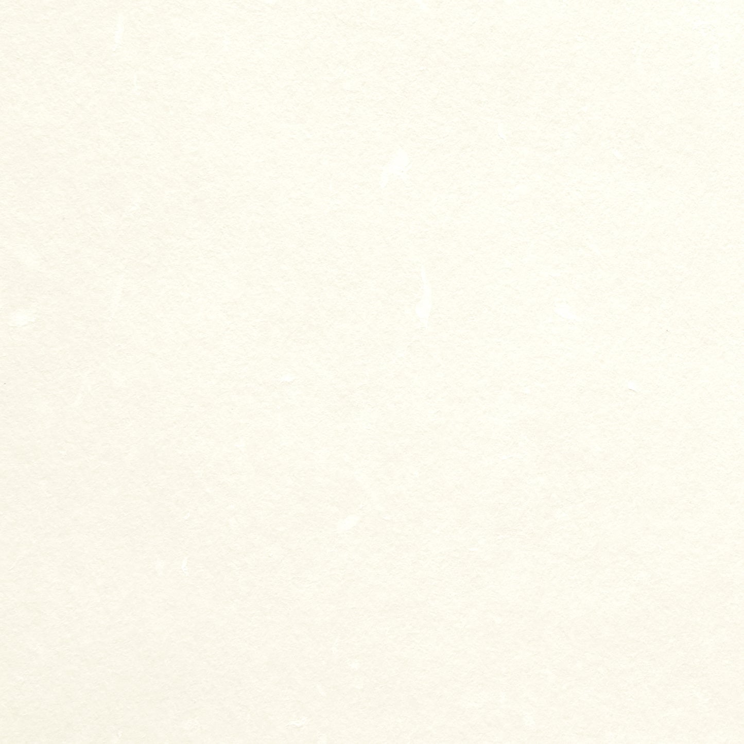 PAPER PALETTE A5カード フェザーワルツ ゆき