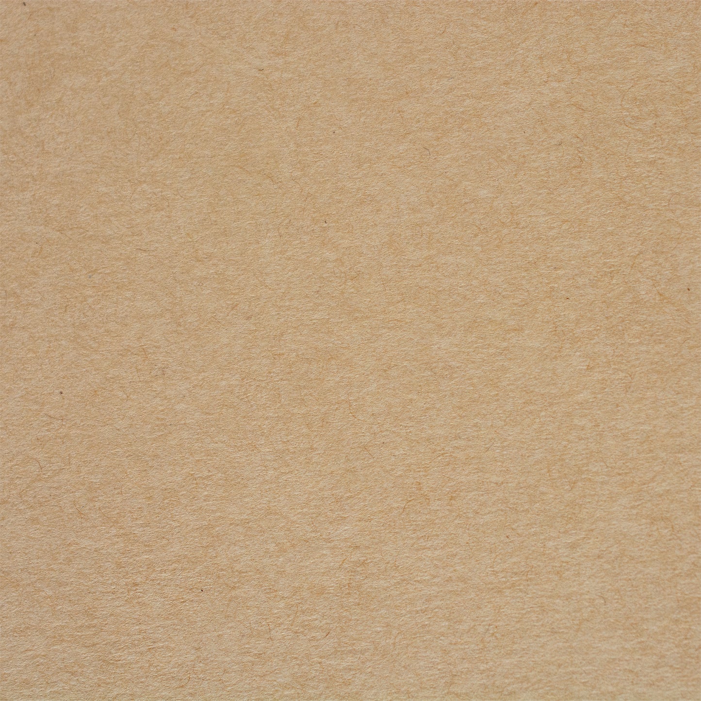PAPER PALETTE A5カード ファーストヴィンテージ オーク 100枚