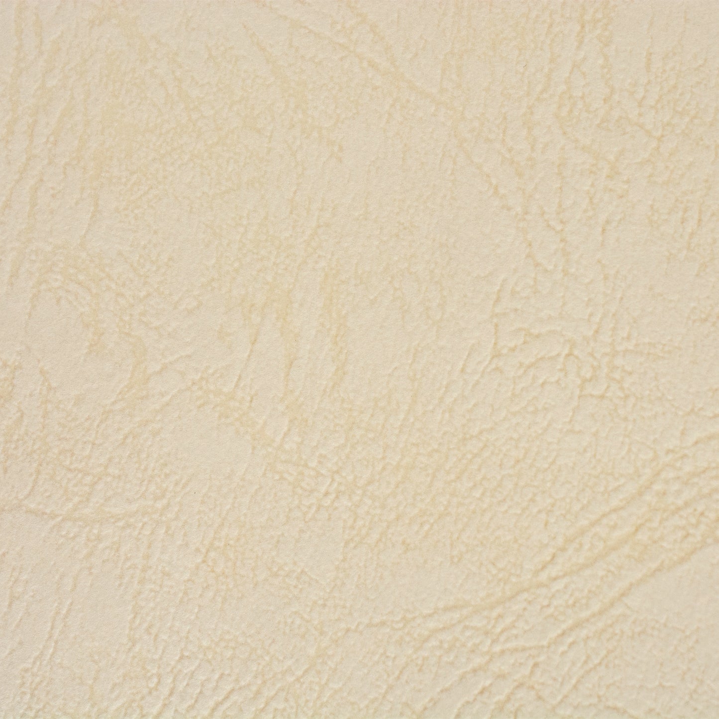 彩現 メニュー・POP用紙 レザック66 ミルク A4 20枚