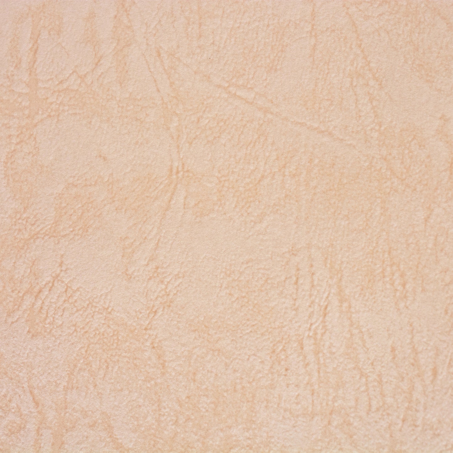 彩現 メニュー・POP用紙 レザック66 桜 A4 20枚