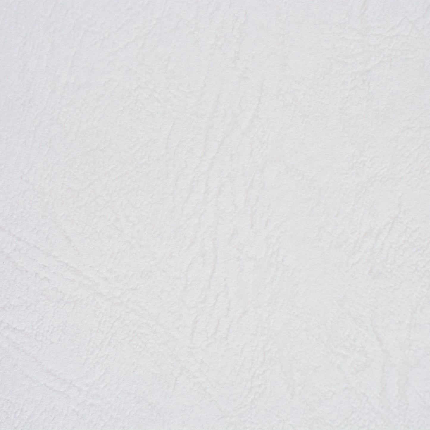 彩現 メニュー・POP用紙 レザック66 白 A4 20枚