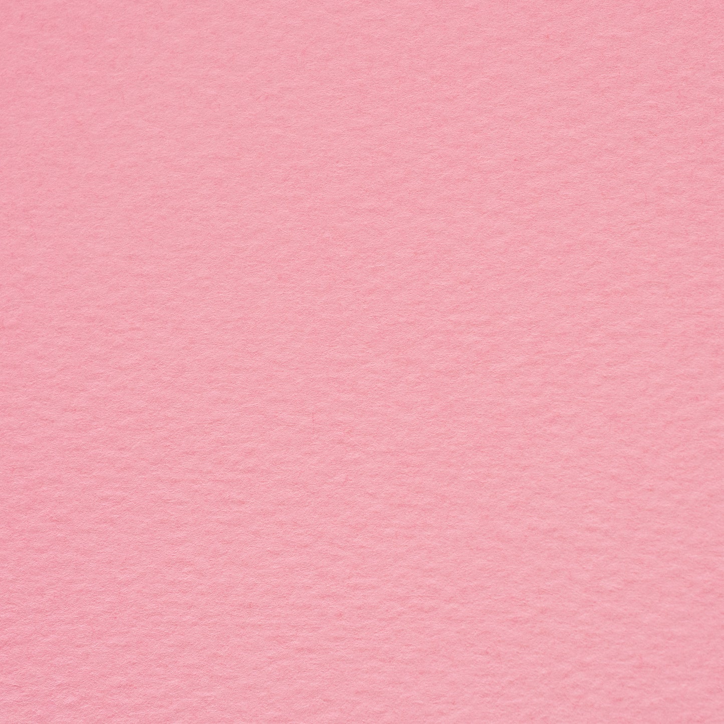 PAPER PALETTE 洋3封筒 マーメイド コーラル