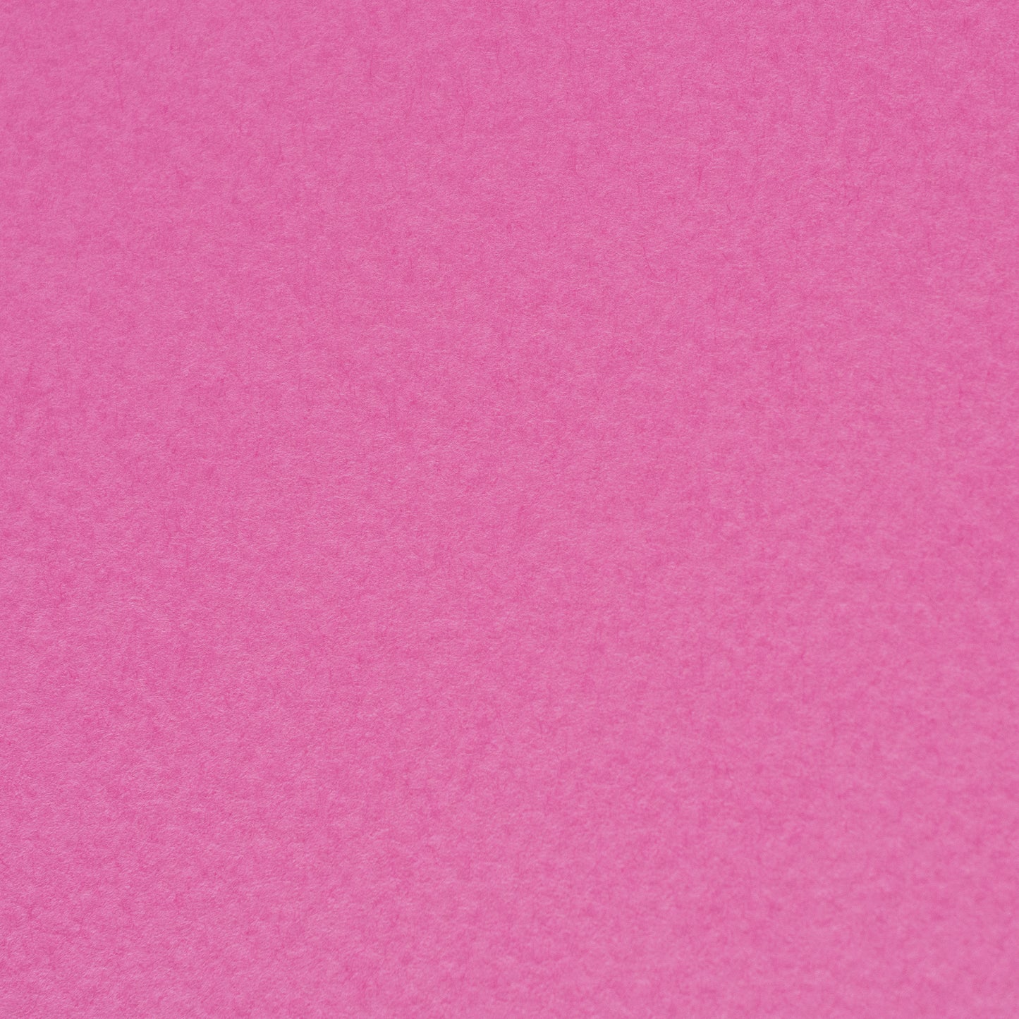 PAPER PALETTE ポストカード マーメイド コスモス