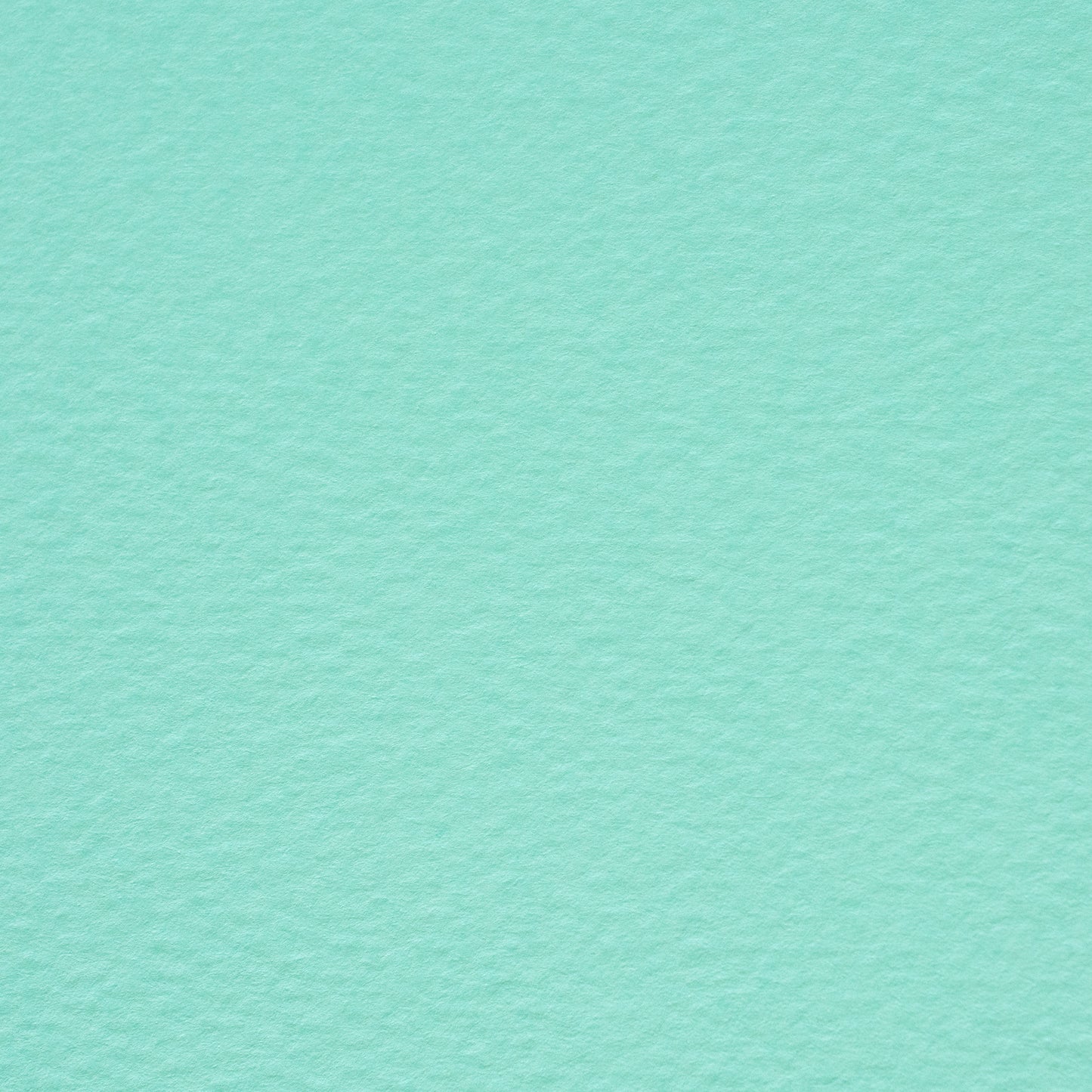 PAPER PALETTE B6カード マーメイド ミント