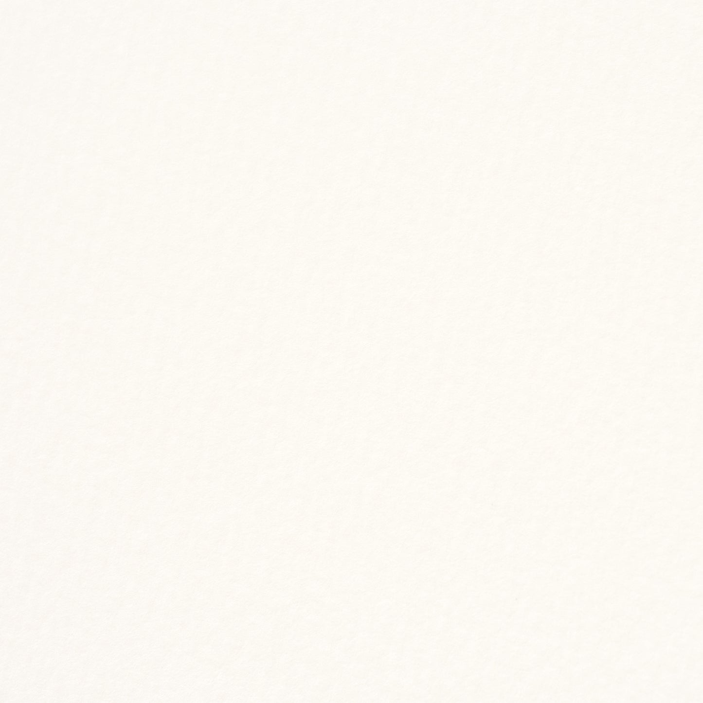 PAPER PALETTE ポストカード マーメイド 白