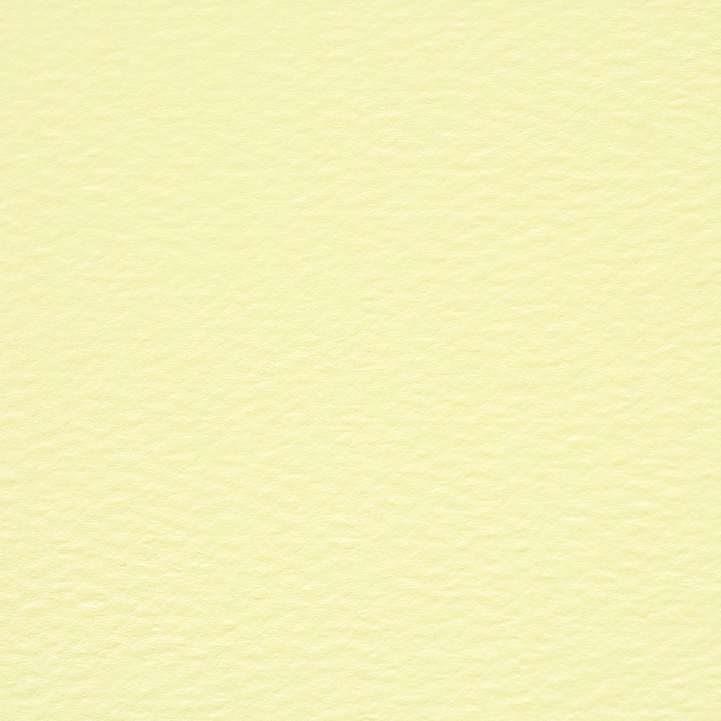 PAPER PALETTE 洋6封筒 マーメイド しろ黄