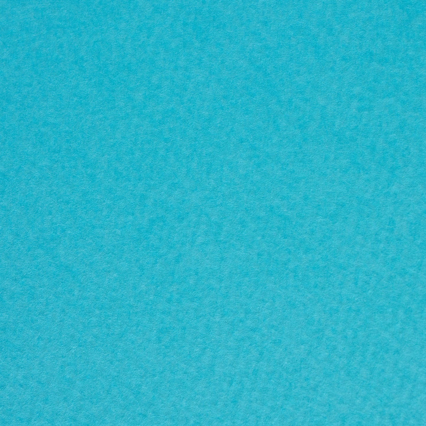 PAPER PALETTE プチモーパレット マーメイド 雫