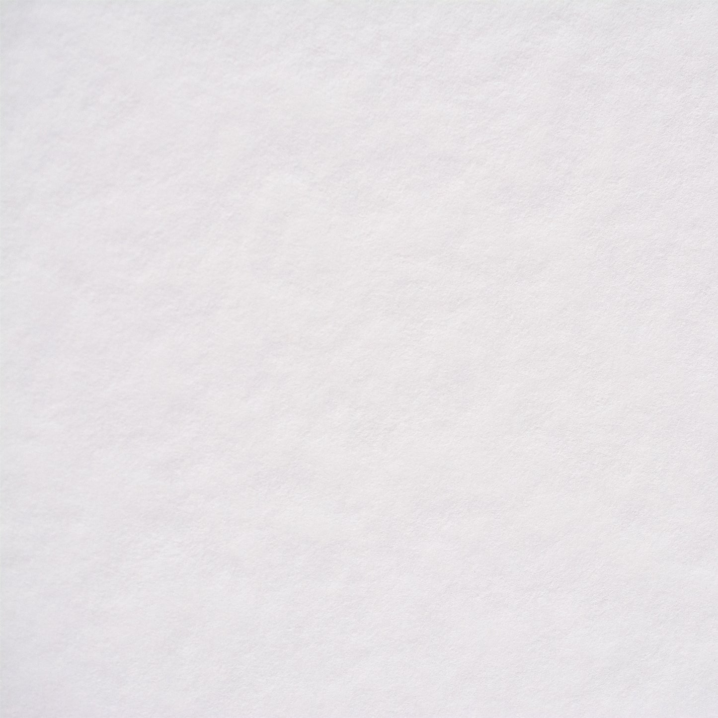 彩現 メニュー・POP用紙 パルパー ホワイト A4 20枚