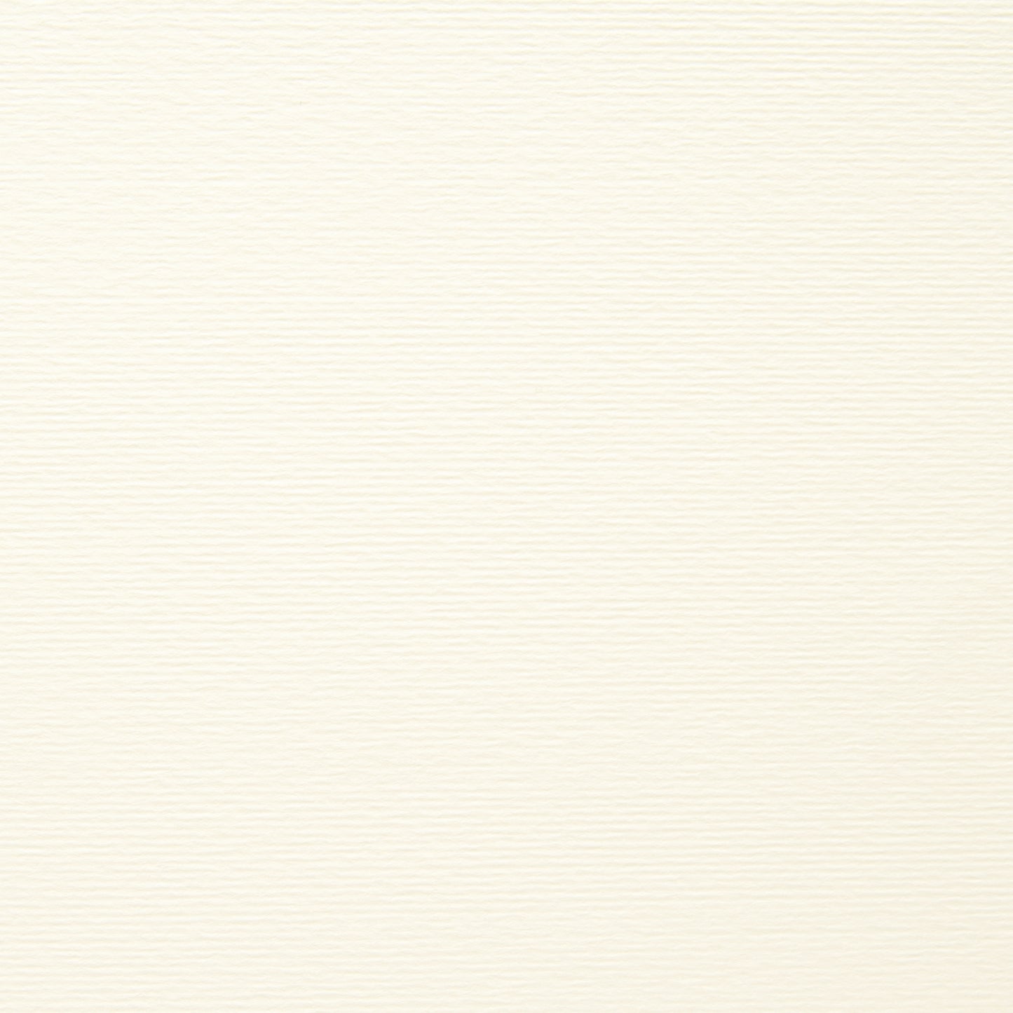 PAPER PALETTE A5カード パミス 白