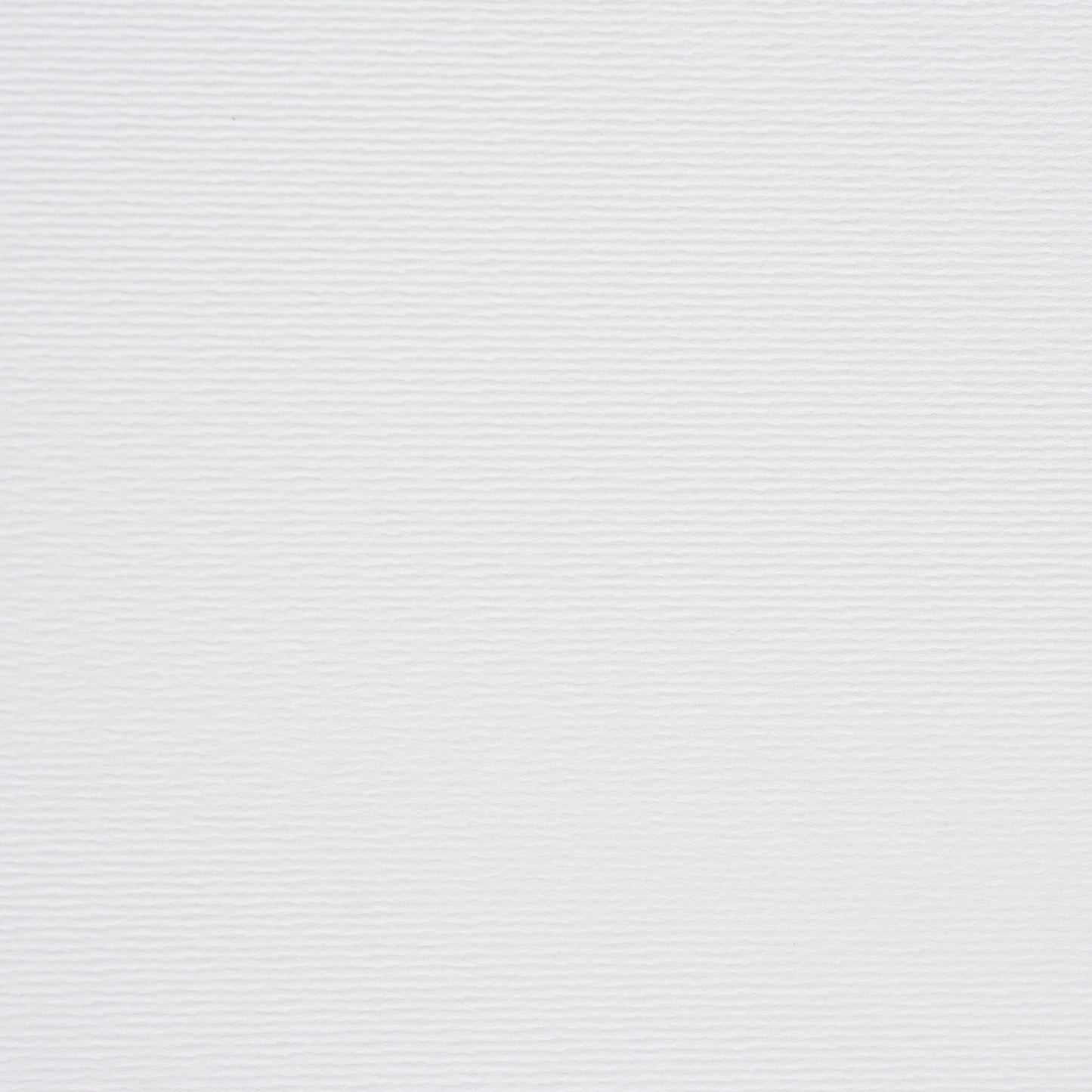 PAPER PALETTE A4中紙 サーブル スノーホワイト