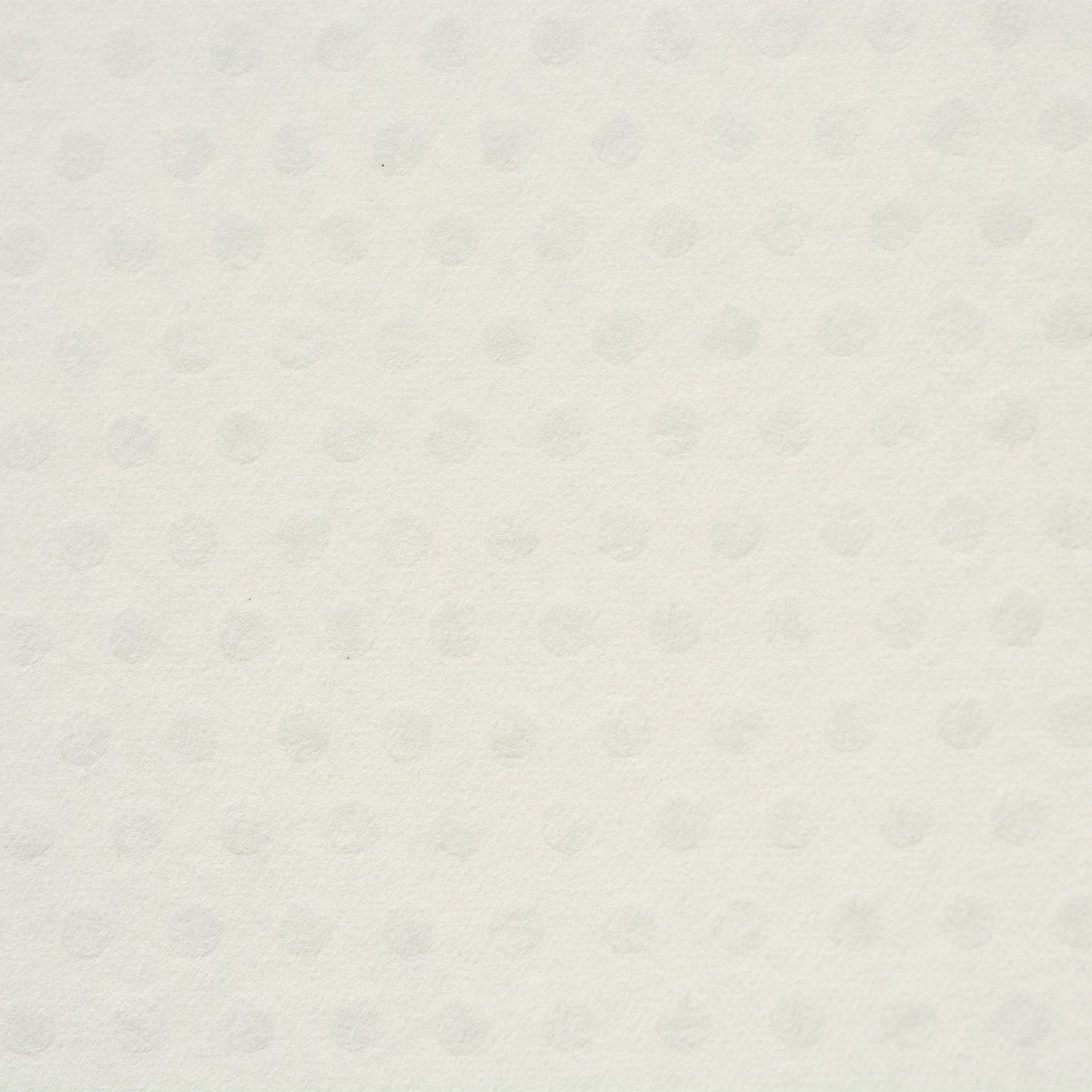 彩現 メニュー・POP用紙 玉しき 白 A4 20枚