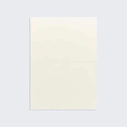 PAPER PALETTE A5カード パミス 白 100枚/10枚