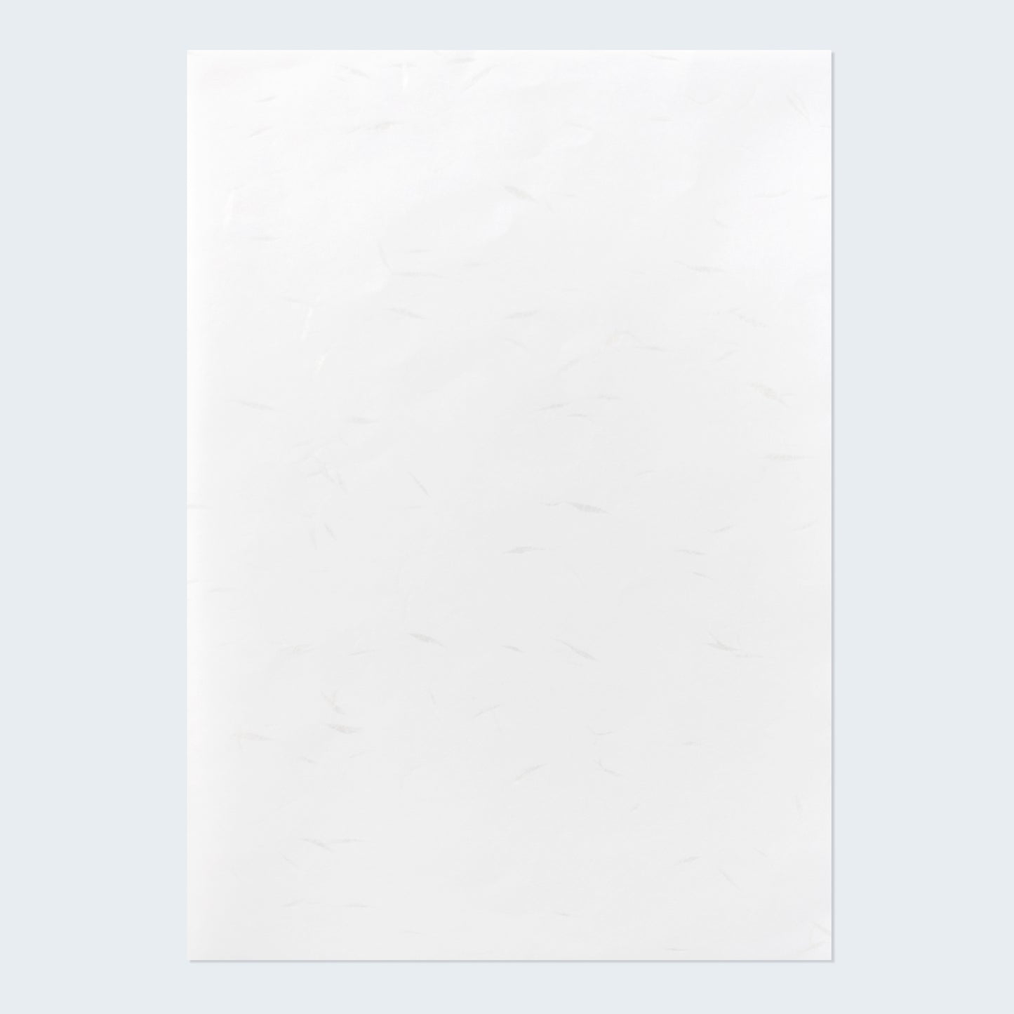 PAPER PALETTE A4中紙 やわらがみ 白花 純白 10枚
