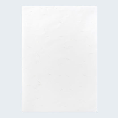 PAPER PALETTE A4中紙 やわらがみ 白花 純白 10枚