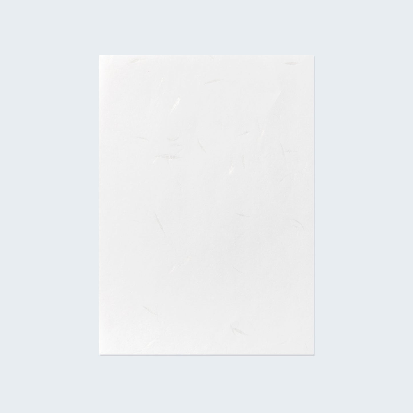 PAPER PALETTE A5中紙 やわらがみ白花 純白 10枚