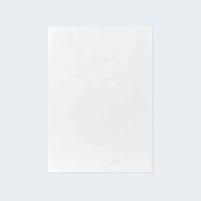 PAPER PALETTE A5中紙 やわらがみ白花 純白 10枚