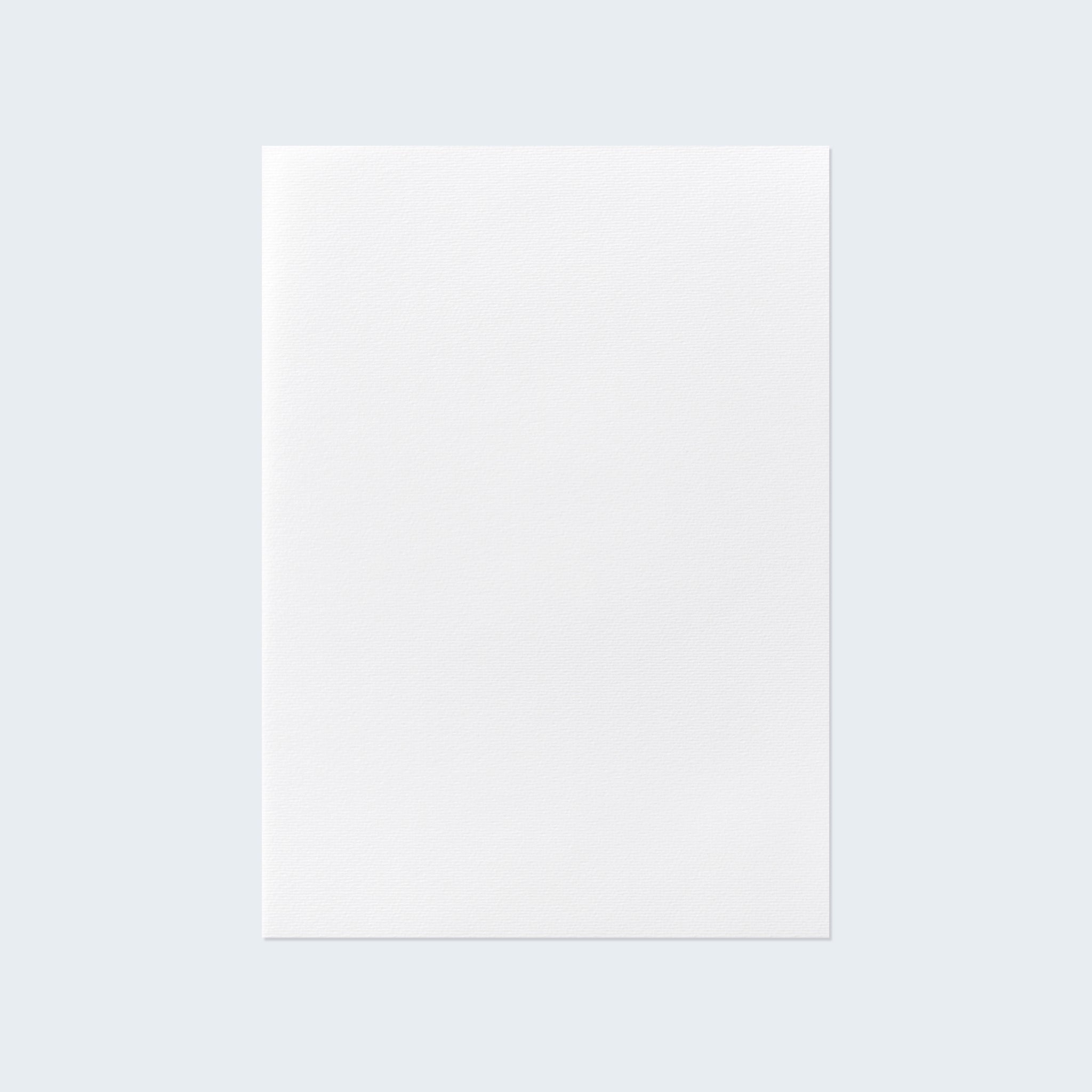 PAPER PALETTE A5中紙 サーブル スノーホワイト 10枚 – products