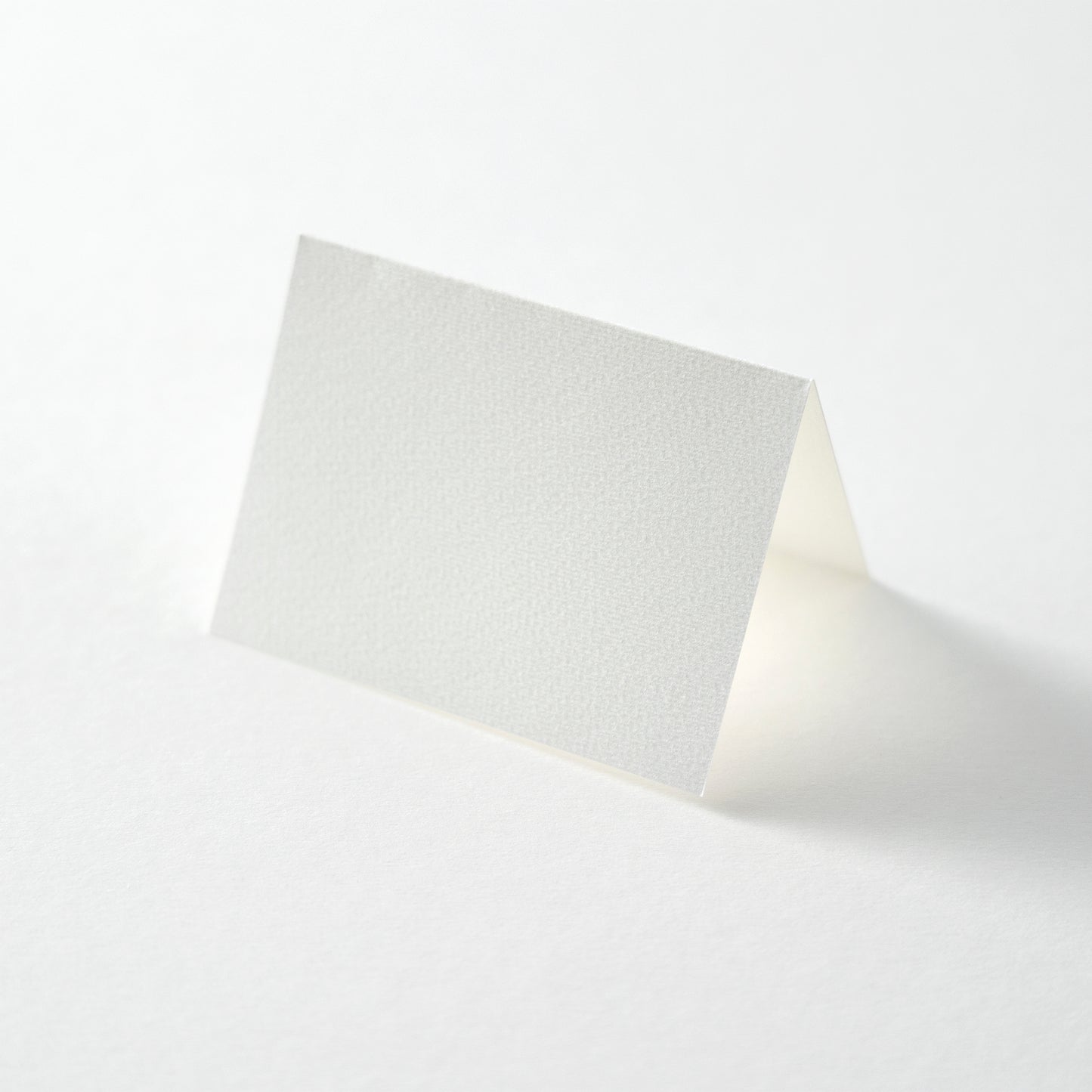 PAPER PALETTE 席札カード パミス 純白 10枚