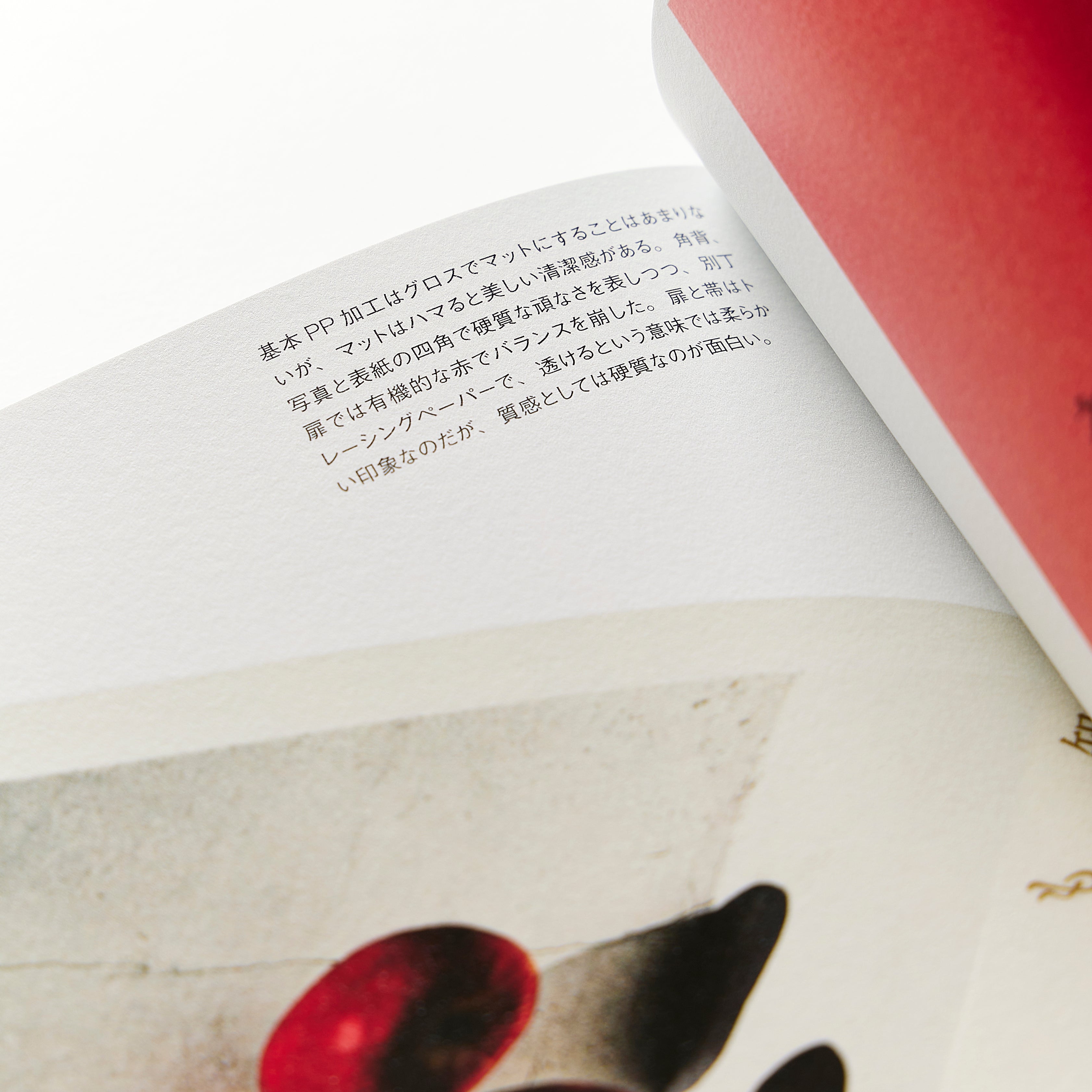 BOOKS 大久保明子×川名 潤 – products.takeopaper.com