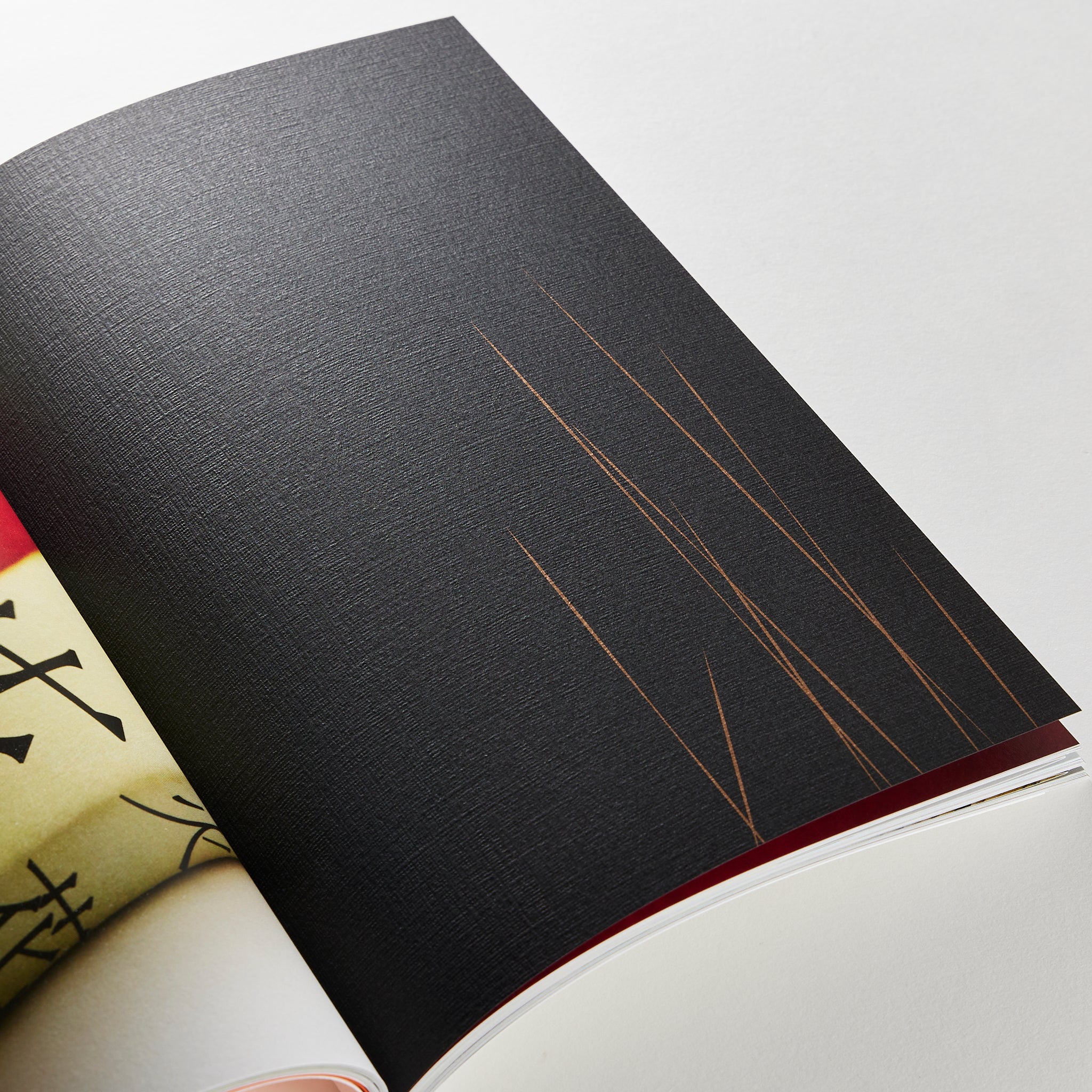 BOOKS 大久保明子×川名 潤 – products.takeopaper.com