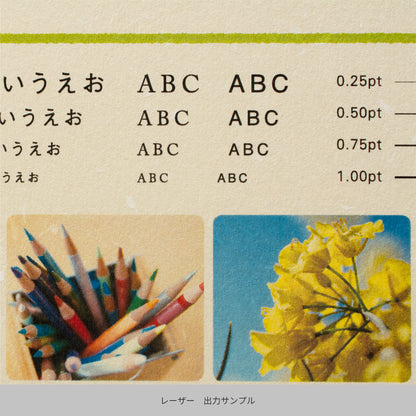 彩現 レター用紙 フェザーワルツ ぞうげ