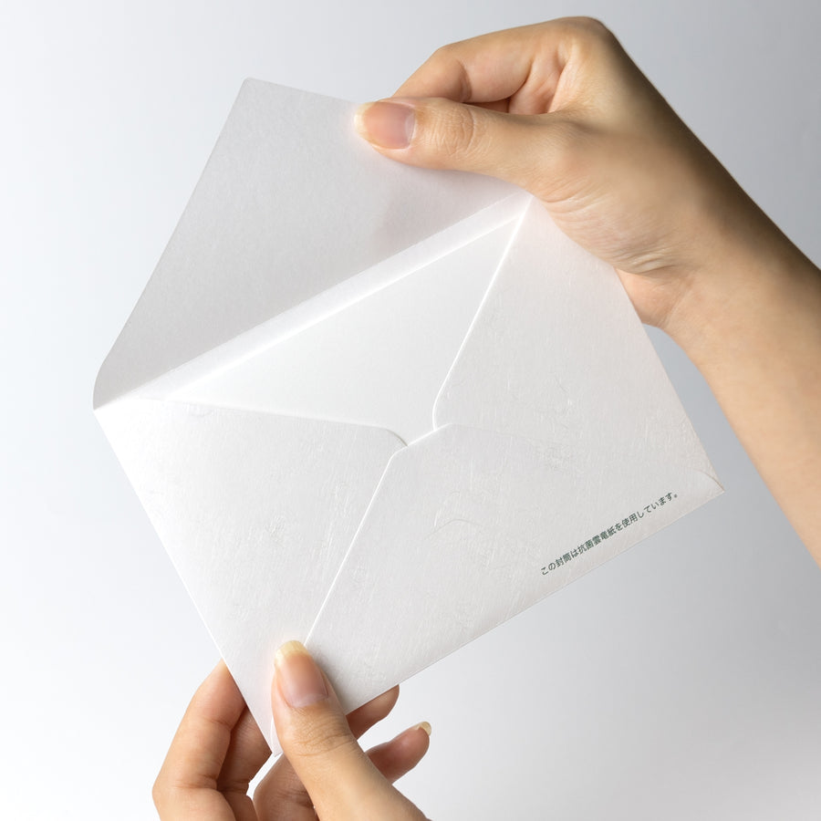 PAPER PALETTE  洋2封筒  抗菌雲竜紙  50枚入