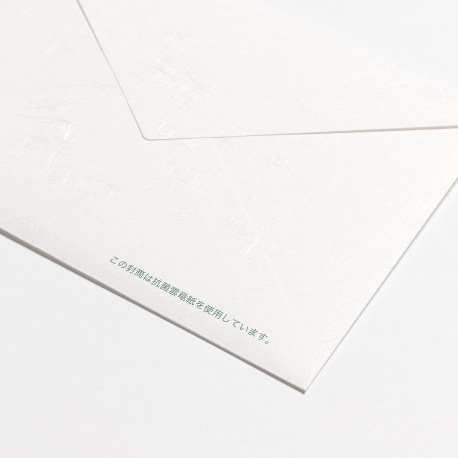 PAPER PALETTE  洋2封筒  抗菌雲竜紙  50枚入