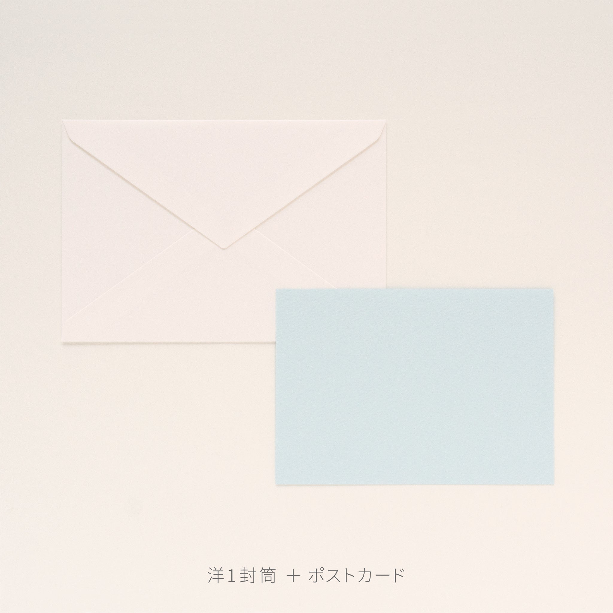 PAPER PALETTE ポストカード パミス 白 – products.takeopaper.com