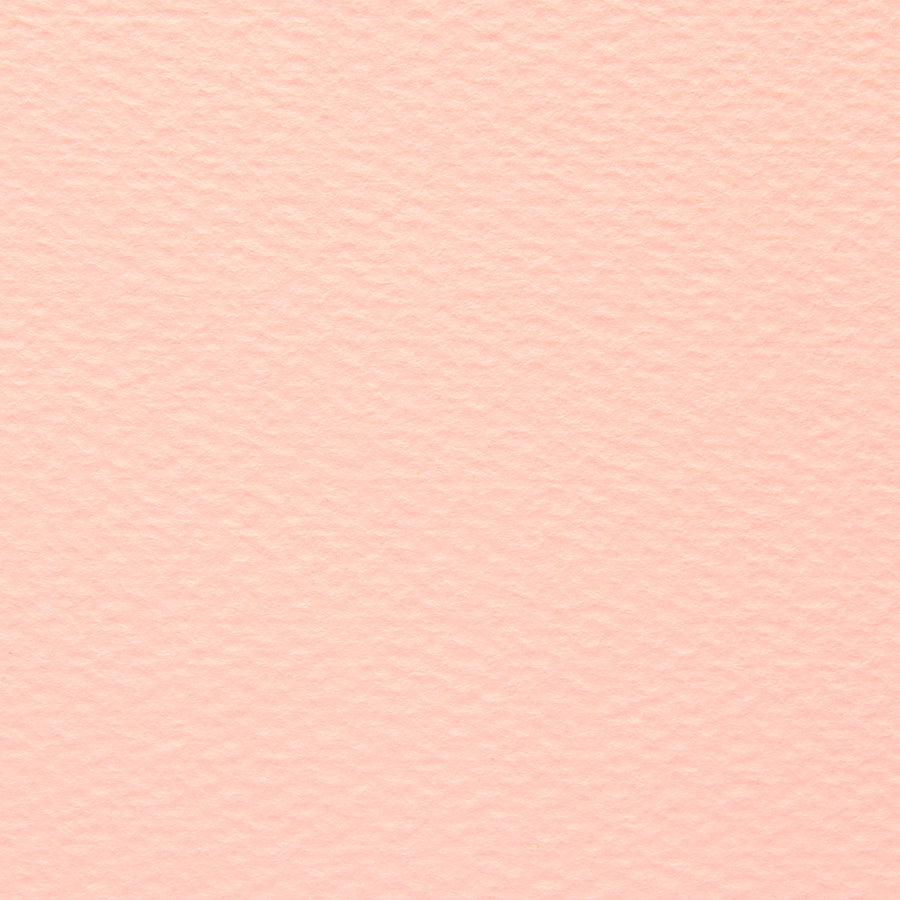 PAPER PALETTE ポストカード マーメイド 桜
