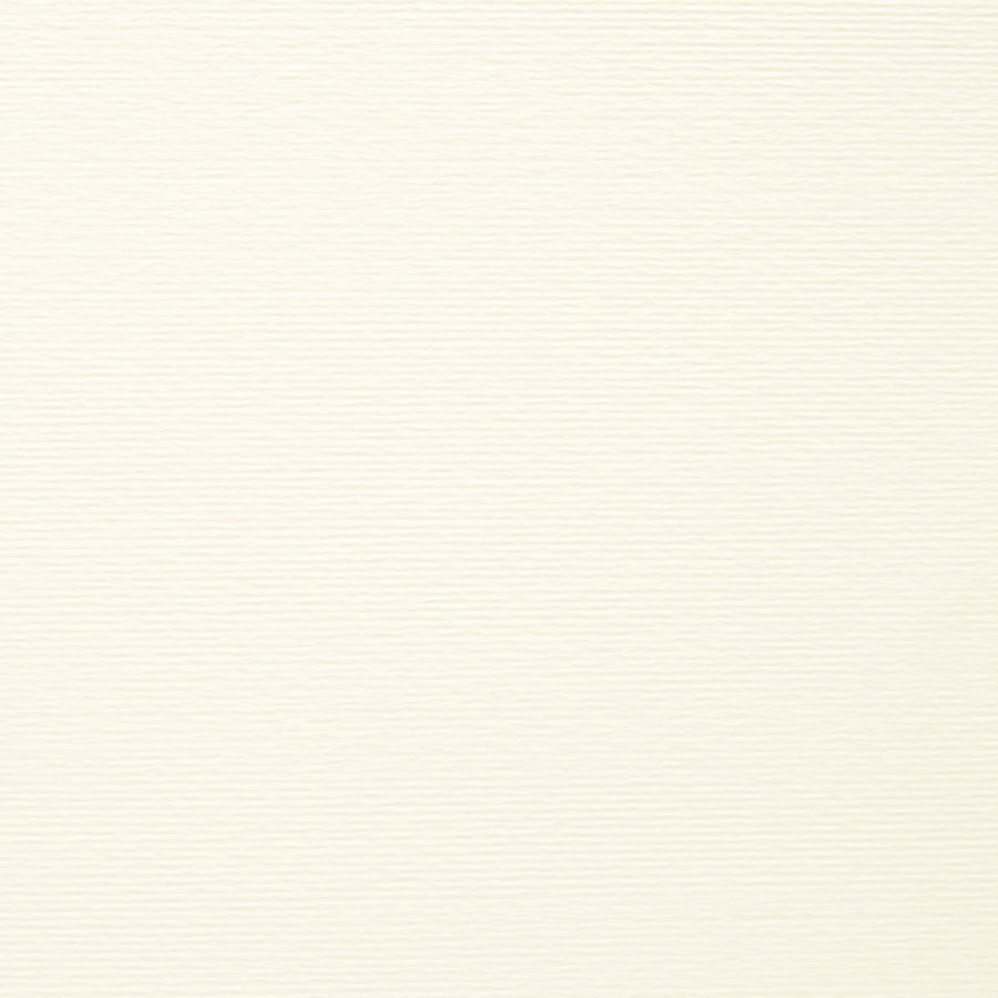PAPER PALETTE ハーフポストカード パミス 白