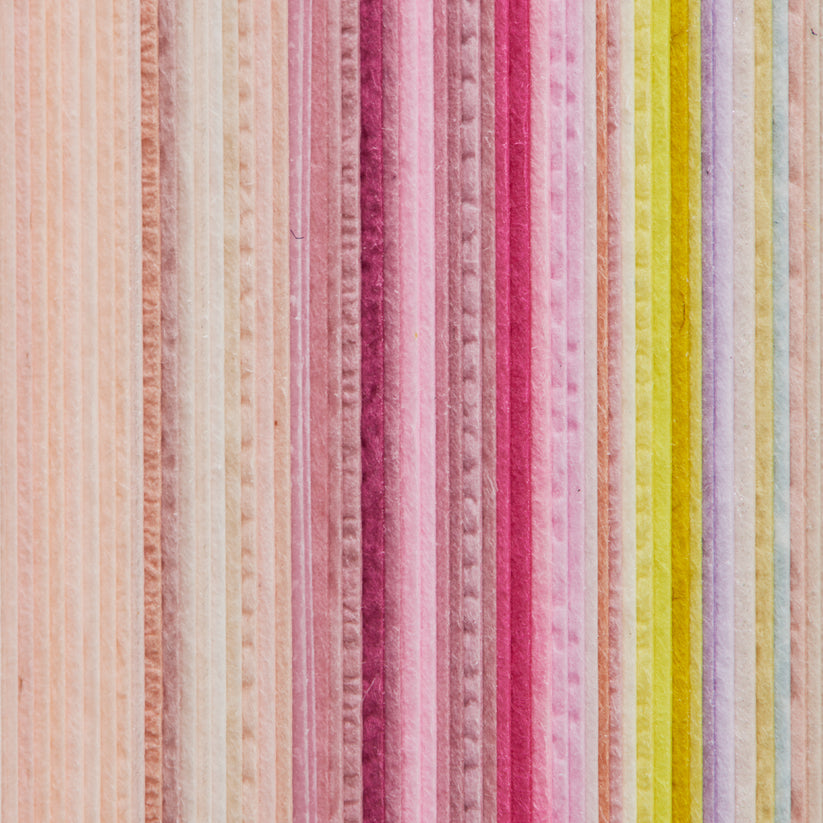 TAKEO PAPER SIKI Notebook M - Hanami (Full Bloom)